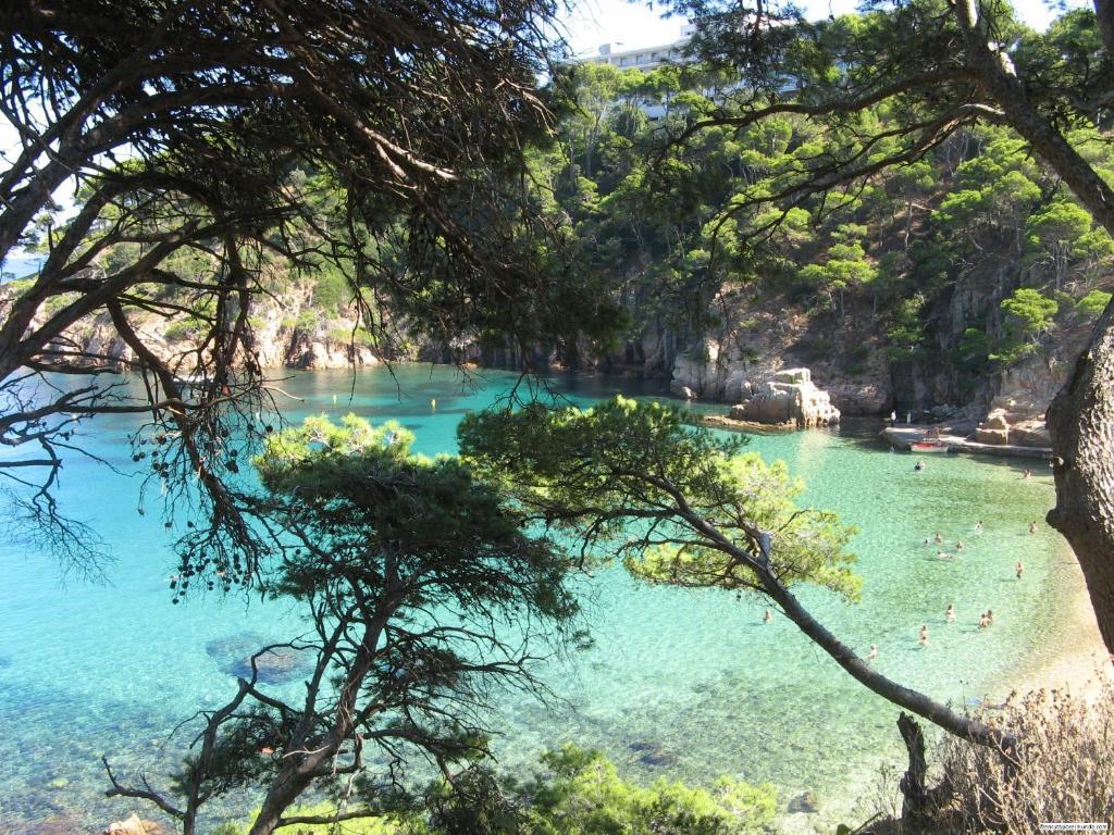 Aparthotel Arenal Pals Εξωτερικό φωτογραφία