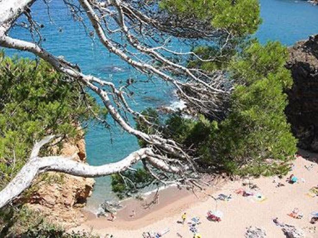 Aparthotel Arenal Pals Εξωτερικό φωτογραφία